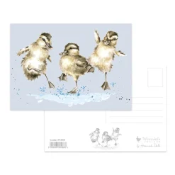 Wrendale Designs by Hannah Dale Postcard - Puddle Ducks