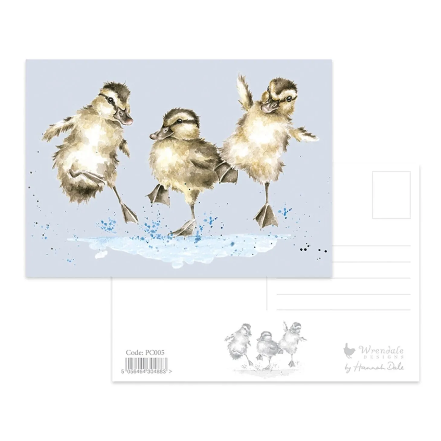 Wrendale Designs by Hannah Dale Postcard - Puddle Ducks