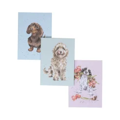 Wrendale Designs by Hannah Dale Set of 3 Notebooks - A Dogs Life