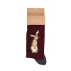 Wrendale Designs By Hannah Dale Mens Bamboo Socks One Size 7-11 - The Hare