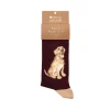 Wrendale Designs by Hannah Dale Mens Bamboo Socks - Good As Gold - Labrador
