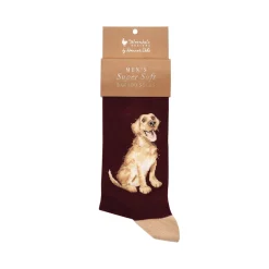 Wrendale Designs by Hannah Dale Mens Bamboo Socks - Good As Gold - Labrador