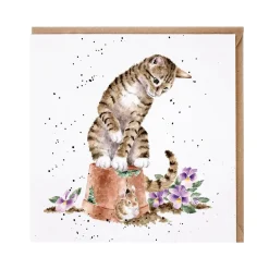 Wrendale Designs by Hannah Dale Card - Hide & Squeak - Cat