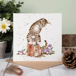 Wrendale Designs by Hannah Dale Card - Hide & Squeak - Cat