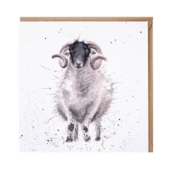 Wrendale Designs by Hannah Dale Card - Feeling Sheepish