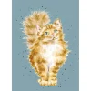 Wrendale Designs by Hannah Dale A6 Notebook - Just Purr-fect - Cat