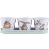 Wrendale Designs by Hannah Dale Set of 3 Herb Pots & Tray - Mice