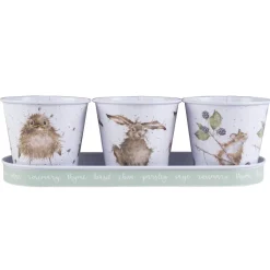 Wrendale Designs by Hannah Dale Set of 3 Herb Pots & Tray - Mice