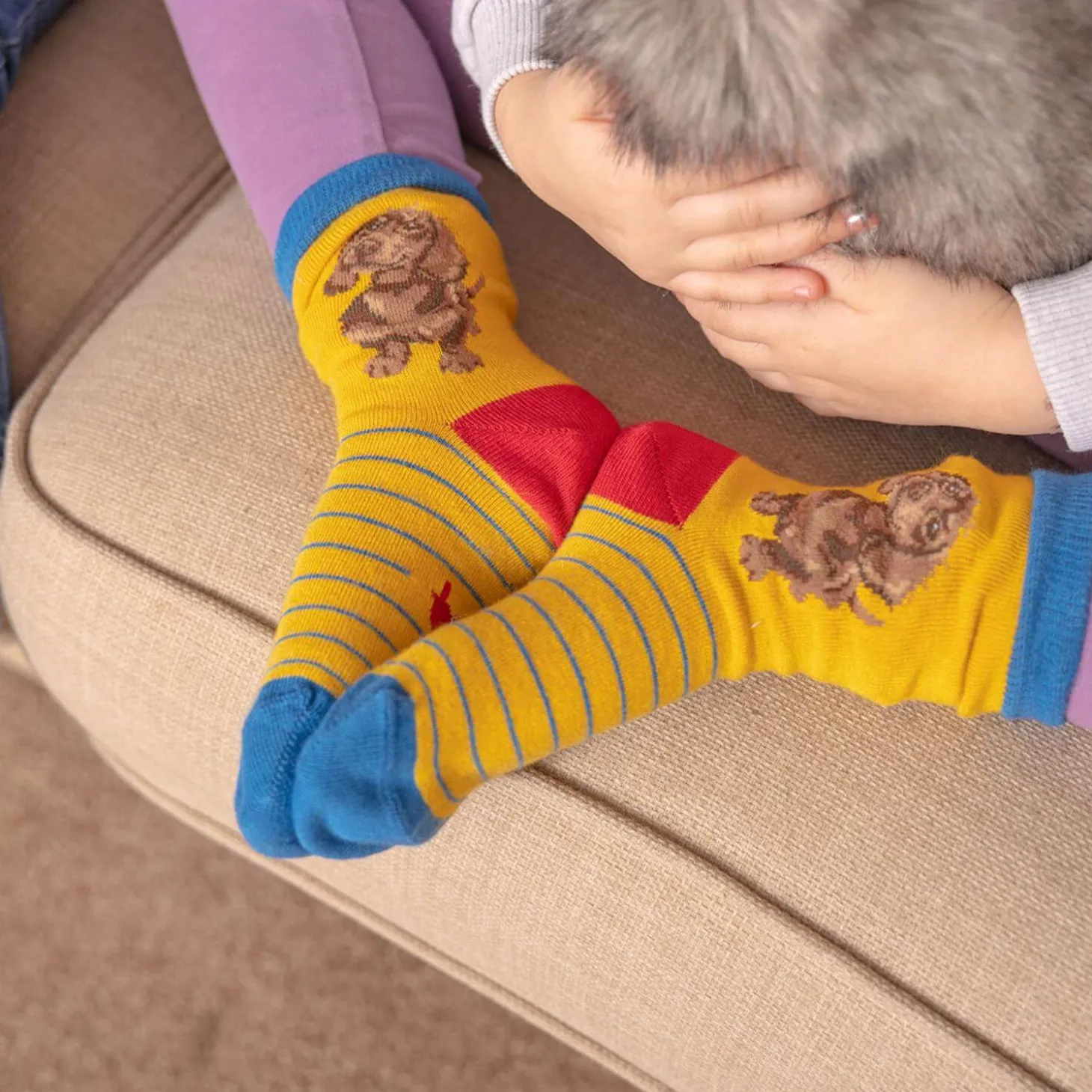 Wrendale Designs By Hannah Dale Childrens 9 to 12 Bamboo Socks - Dachshund