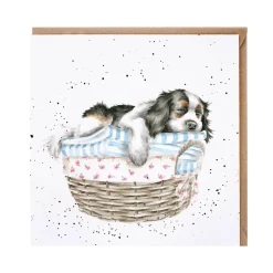 Wrendale Designs by Hannah Dale Card - Wash, Dry, Fold, Repeat