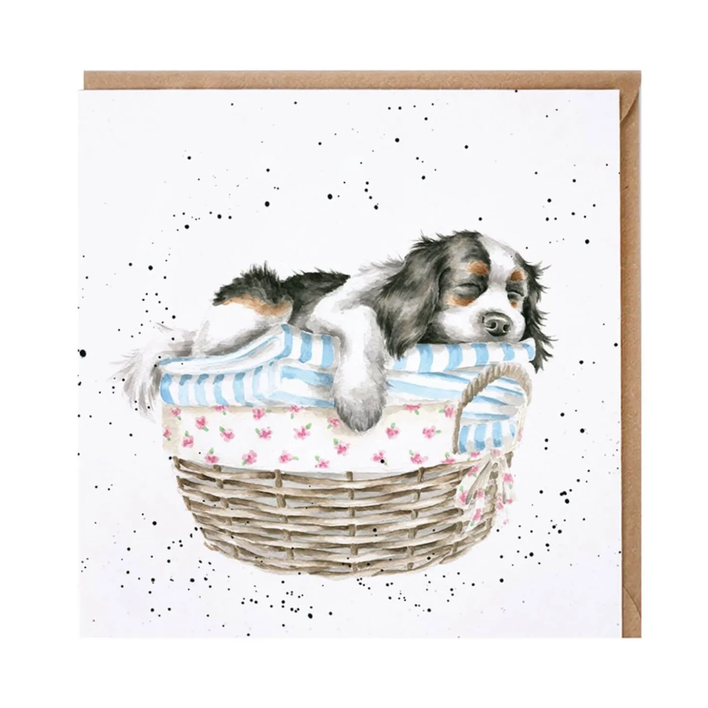 Wrendale Designs by Hannah Dale Card - Wash, Dry, Fold, Repeat