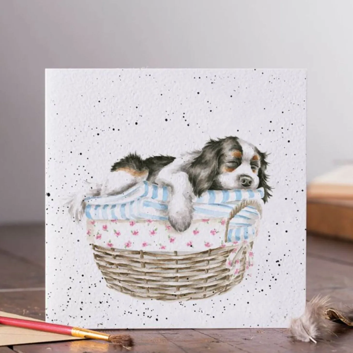 Wrendale Designs by Hannah Dale Card - Wash, Dry, Fold, Repeat