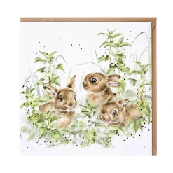 Wrendale Designs by Hannah Dale Card - Spring Hares