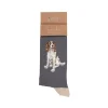 Wrendale Designs Mens Bamboo Socks One Size 7-11 - Willow - Spaniel