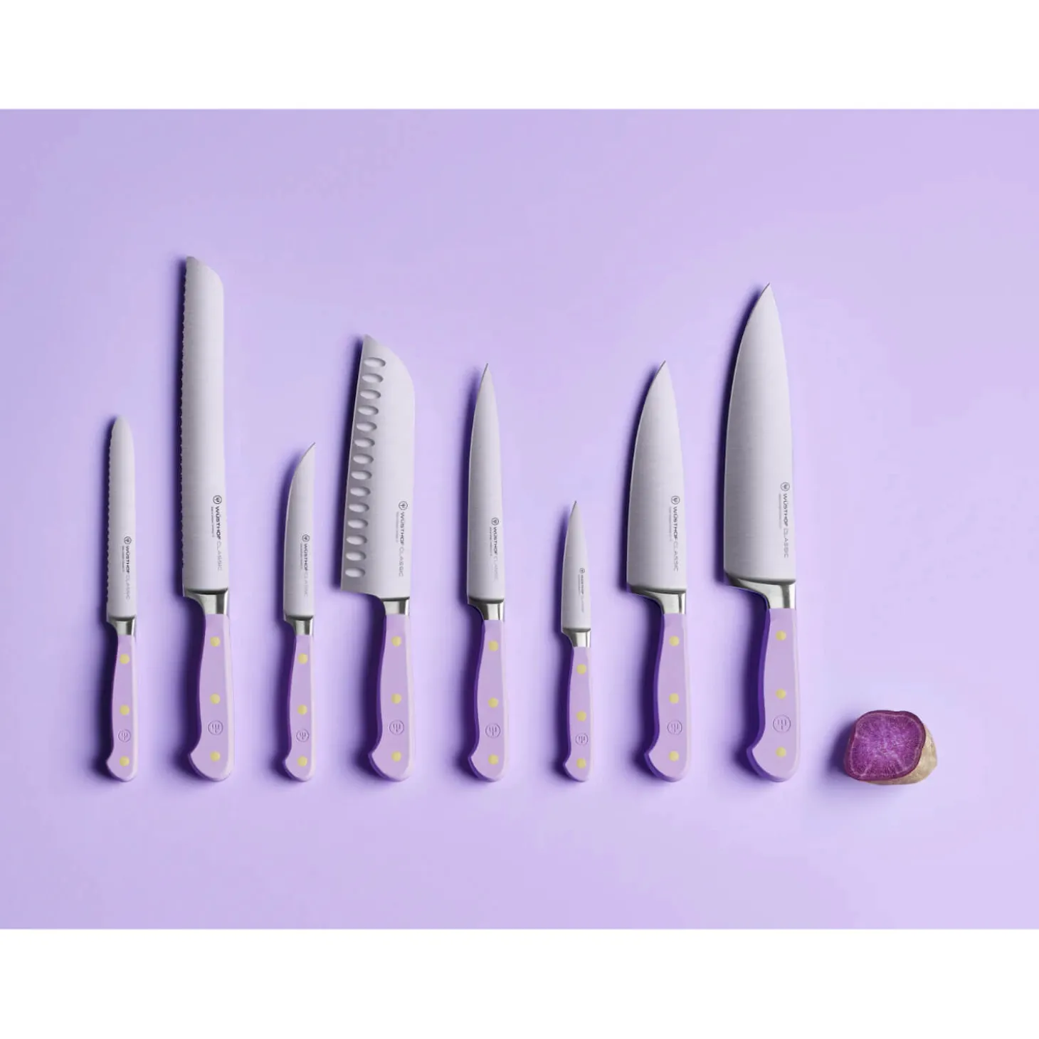 Wusthof Classic 23cm Bread Knife - Purple Yam