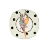 Yvonne Ellen Fine China Tea Plate - Budgie