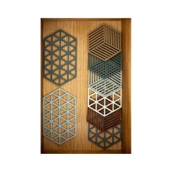 Zone Denmark Hexagon Silicone Trivet - Terracotta